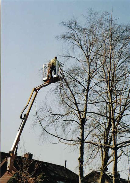 Boomsnoei met hoogwerker hoogwerker