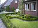 gazon