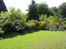 gazon