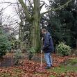 Uw tuin blijvend mooi door regelmatig onderhoud tuinonderhoud